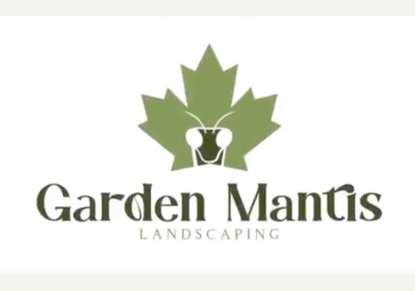 Garden Mantis